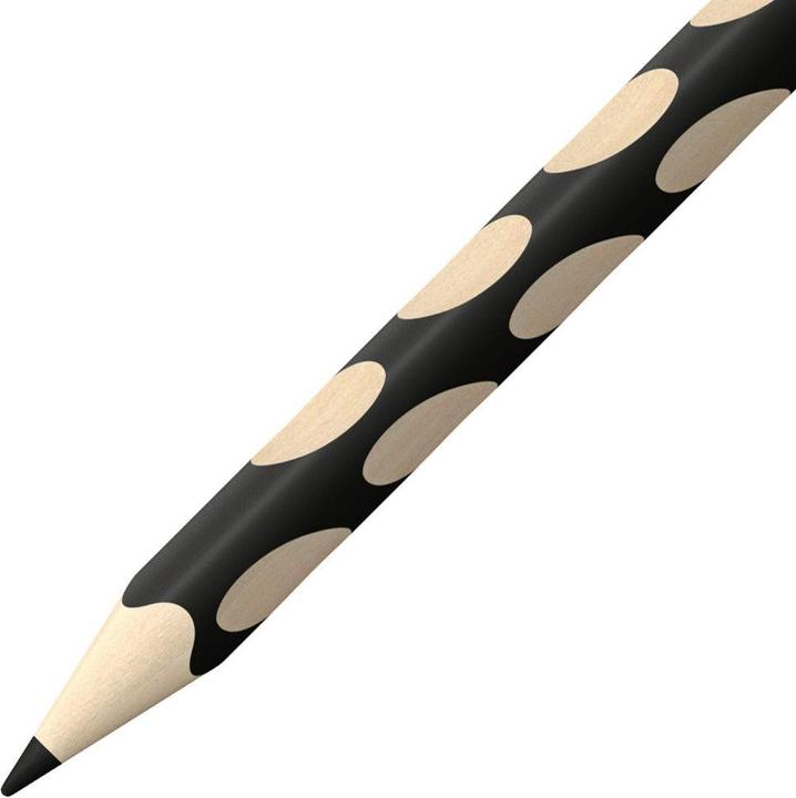Actual product image STABILO EASYcolors coloured pencil (Black, 1 x)
