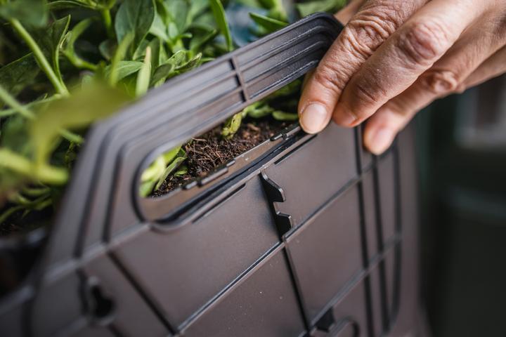 Produktbild CitySens 3er-Pack Wand Pflanzengefäss