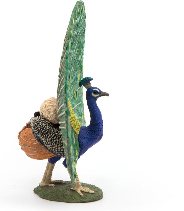 Actual product image Papo Peacock