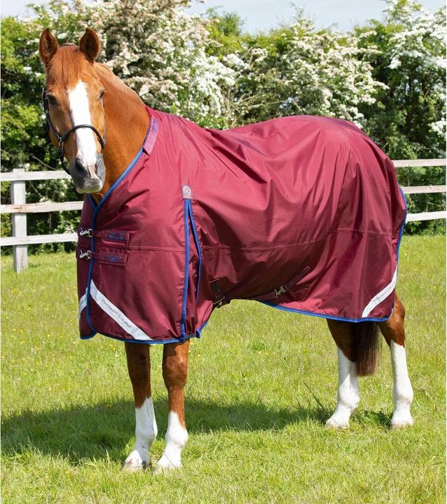 Actual product image Premier Equine Buster 40g (198 cm)