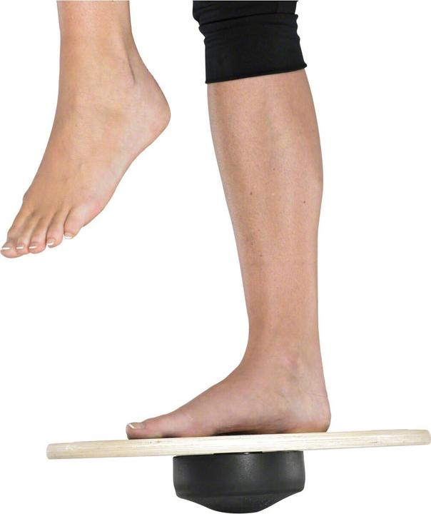 Actual product image Artzt vitality® Wobblesmart® therapy gyroscope