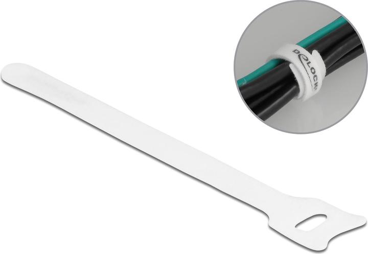 Delock Velcro cable tie (Velcro cable ties, 150 mm, 10 pcs.)