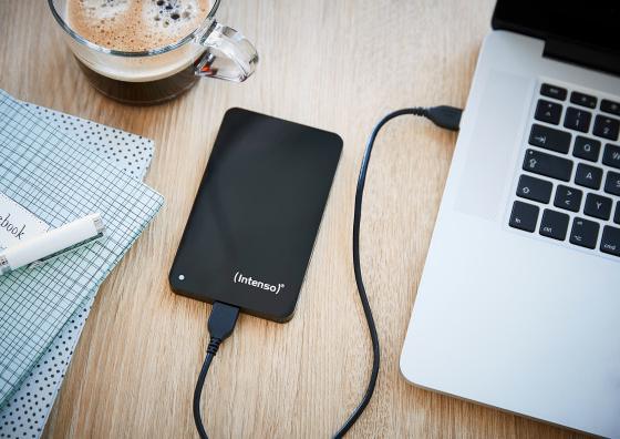 Produktbild Intenso Memory Case (1 TB)