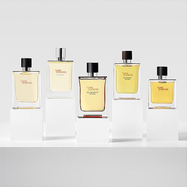 Image du produit Hermès Terre d'Hermes (Eau de parfum, 100 ml)