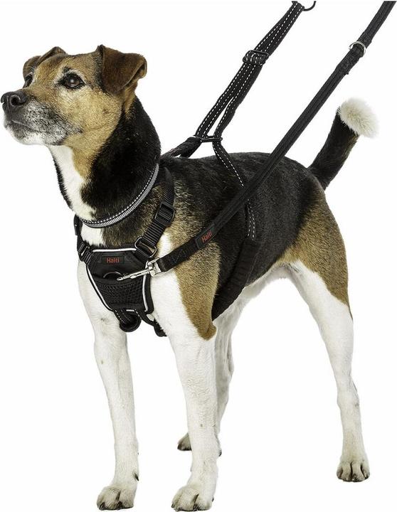 Immagine prodotto Company of Animals Imbracatura Halti No Pull Anti-pull S (S, Cane, Generale)