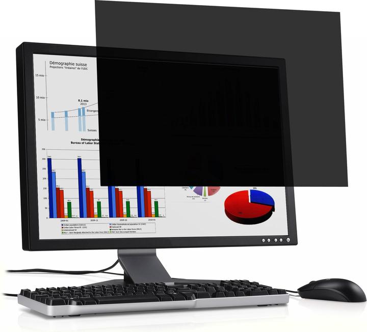 Produktbild Port Designs PORT Professional Blickschutzfilter für Bildschirme (17.01", 16 : 10)