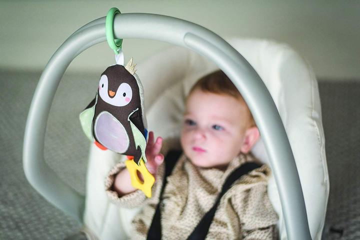 Actual product image Taf Toys Prince