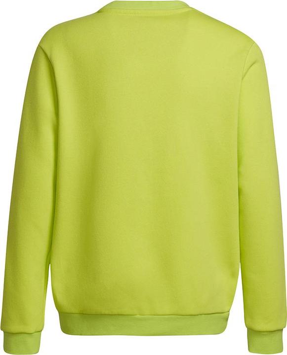 Produktbild adidas Entrada 22 Sweatshirt Kinder (116)