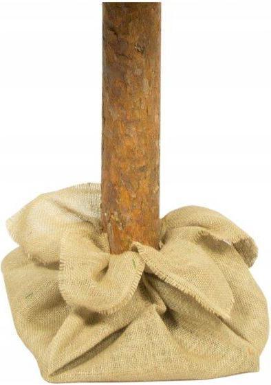 Immagine prodotto Lean Toys Albero di Natale Diamond Pine 220 cm (220 cm)