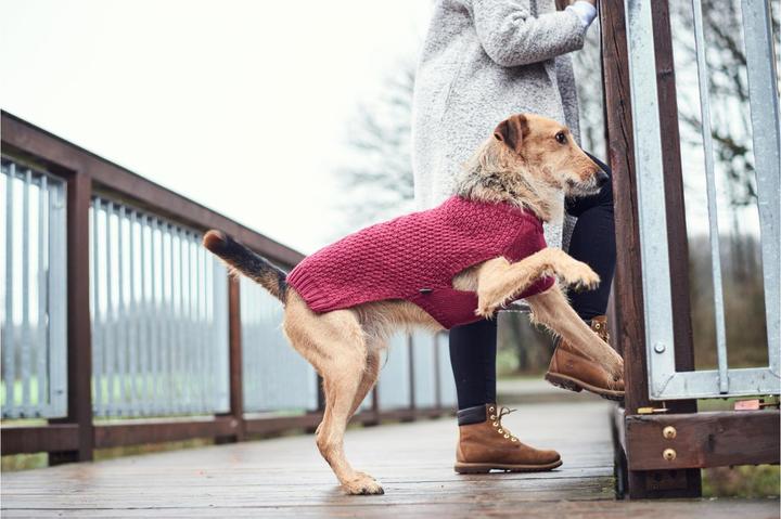 Produktbild Hunter Hundepullover Malmö (25, Hundepullover)