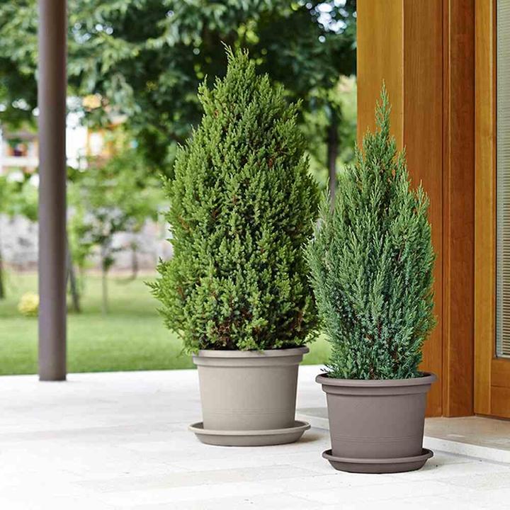 Actual product image Euro3plast Planter (25 cm)