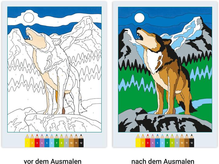 Produktbild Ravensburger Malbuch Malen nach Zahlen
