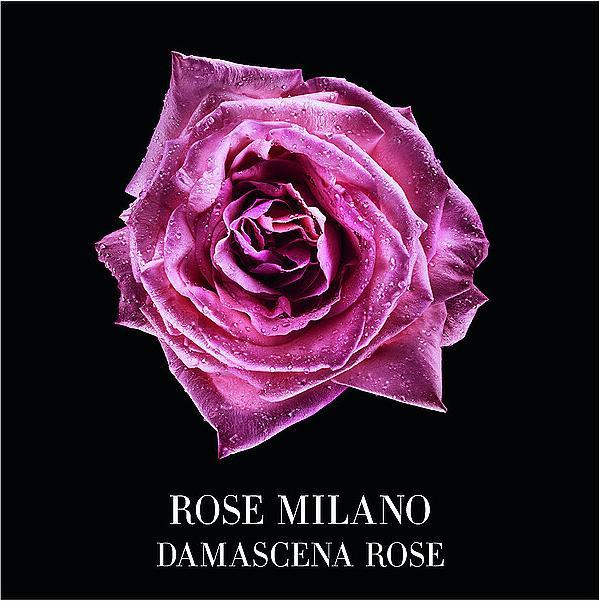 Actual product image Giorgio Armani Privé Rose Milano (Eau de toilette, 100 ml)