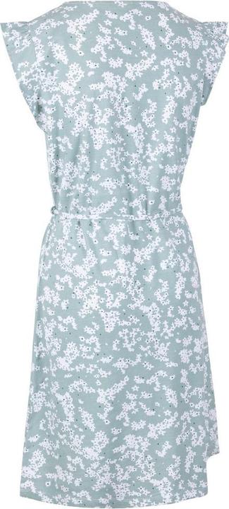 Actual product image Trespass Womens/Ladies Holly Ditsy Print Short-Sleeved Dress (L)