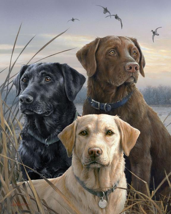 Produktbild Figured'Art Malen nach Zahlen Labrador-Trio ohne Keilrahmen
