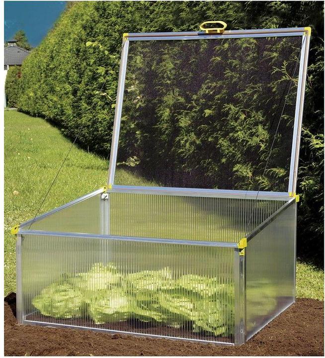 Actual product image Juwel Biostar Protect