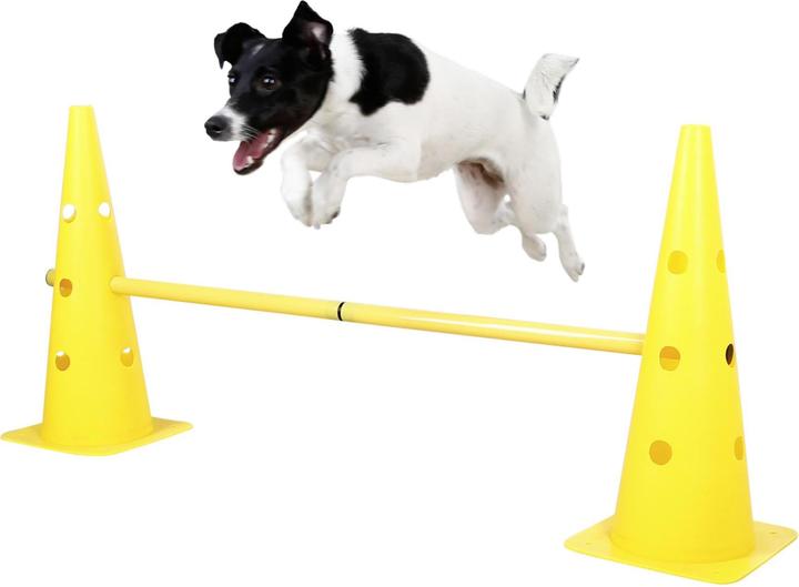 Actual product image Kerbl Agility Pylon Hurdles Set (One size, Agility)