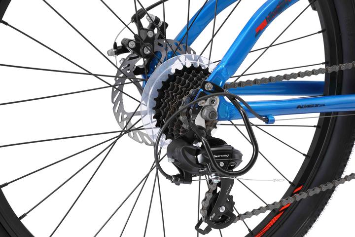 Actual product image Bikestar Hardtail mountain bike (40.64 cm)