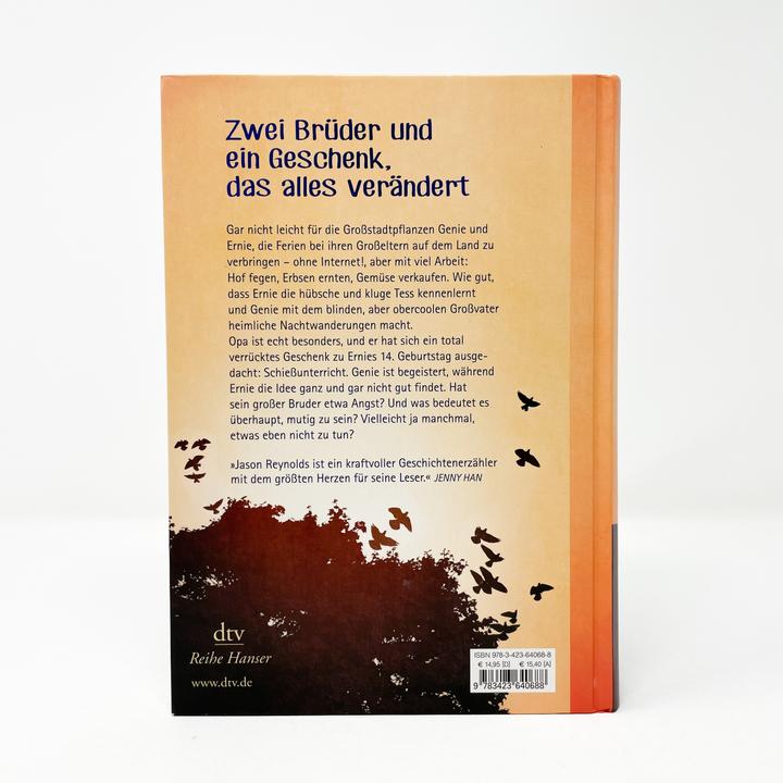 Actual product image Brüder (German, Jason Reynolds, Klaus Fritz, 2020)