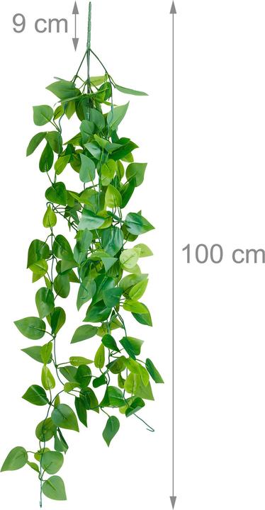 Produktbild Relaxdays Efeutute (100 cm)