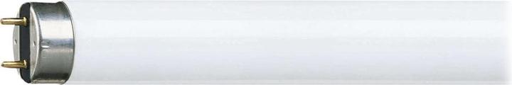 Actual product image Philips Fluorescent lamp TL-D (G13, 18 W, 1350 lm, 1 x, G)