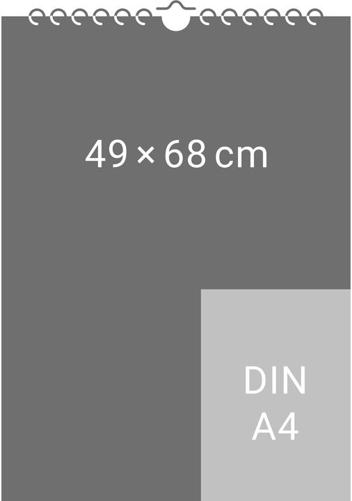 Actual product image Heye Bildkalender Rosina Wachtmeister (49 x 68 cm, German)