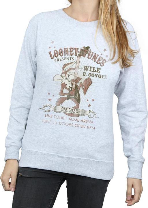 Looney Tunes Sweatshirt (L)