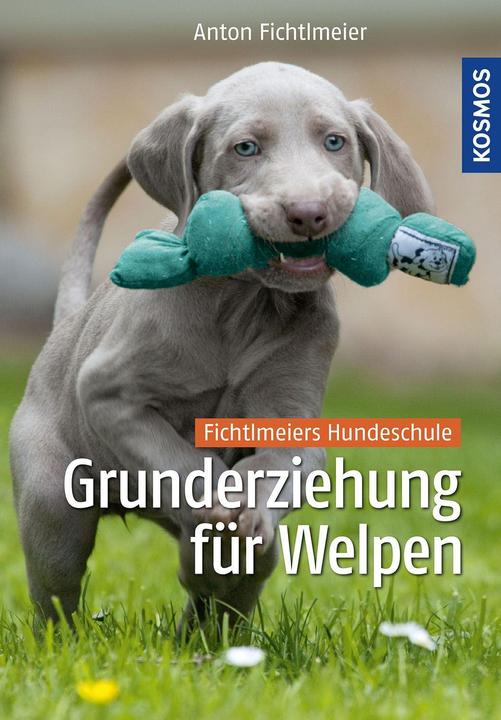 Produktbild Kosmos Grunderziehung für Welpen (Deutsch, Anton Fichtlmeier, 2014)