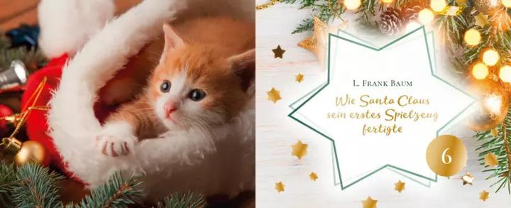 Produktbild Katzengeschichten
