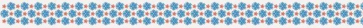 Actual product image Heyda Washi Tape Flowers