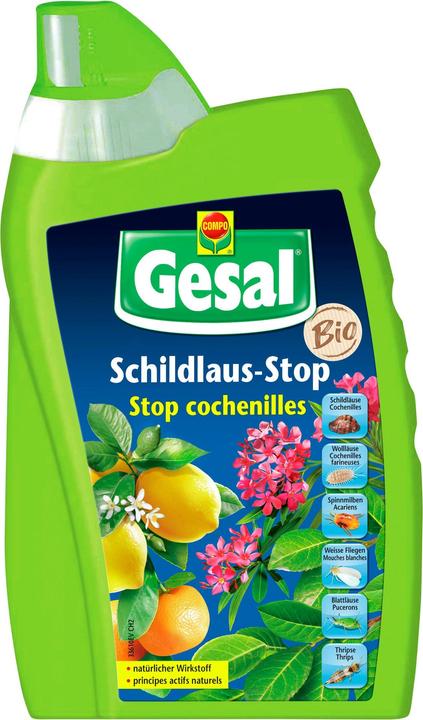 Produktbild Gesal Schildlaus-Stop (Blattläuse, Weissen Fliegen, Spinnmilben)