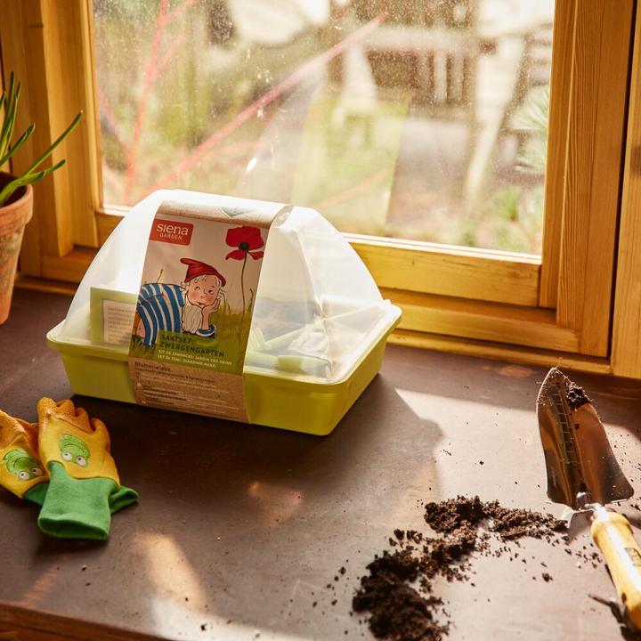 Actual product image Siena Garden Indoor greenhouses