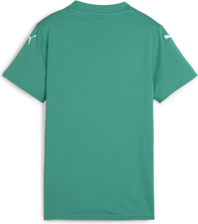 Actual product image Puma teamGLORY Jersey Wmns (L)