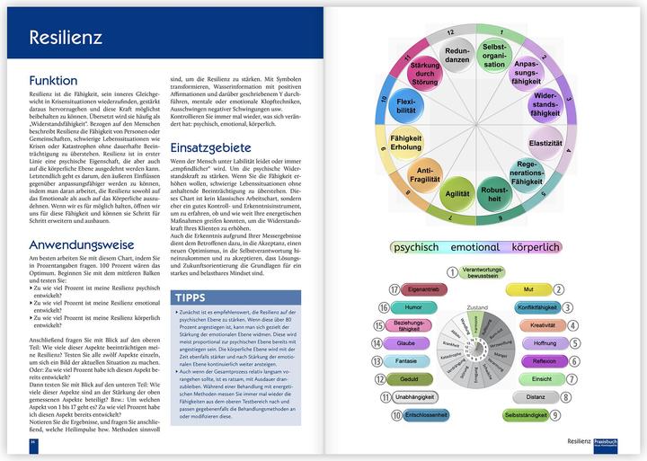 Image du produit Praxisbuch Neue Homöopathie. Band 2 (Allemand, Roswitha Stark, Christina Baumann, 2024)