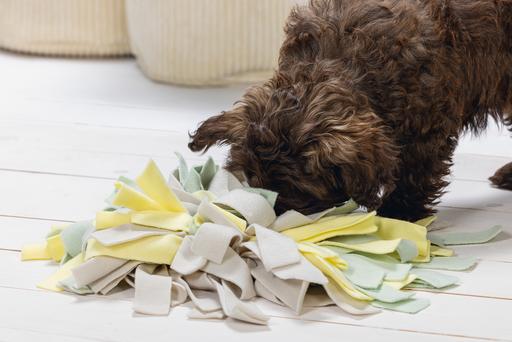 Immagine prodotto Beeztees Sniffy (Cane di peluche)