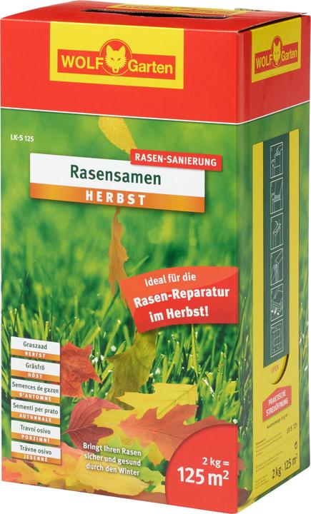 Produktbild Wolf-Garten Rasensamen (Rasensamen)