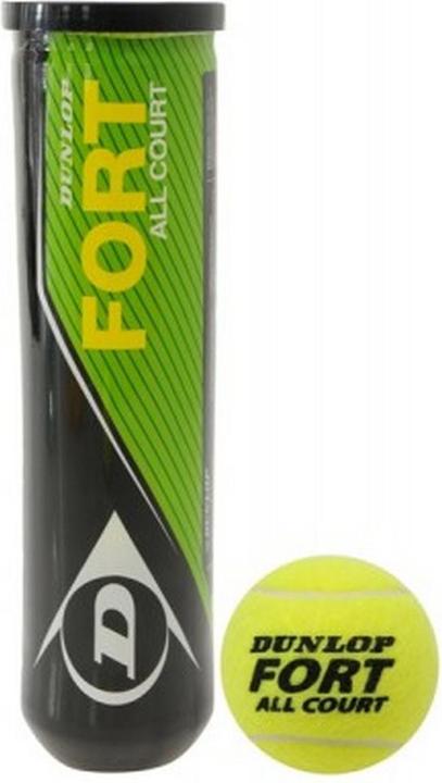 Actual product image Dunlop Fort All Court TS