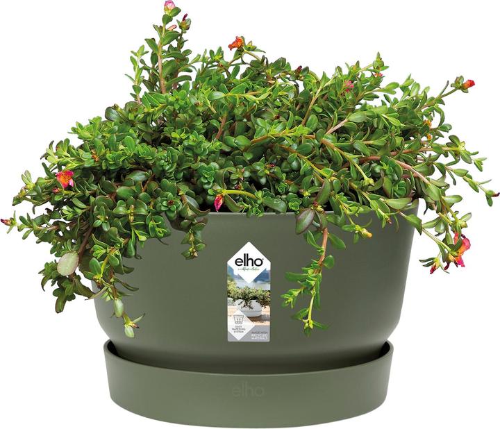 Produktbild Elho Greenville Bowl (32.50 cm)