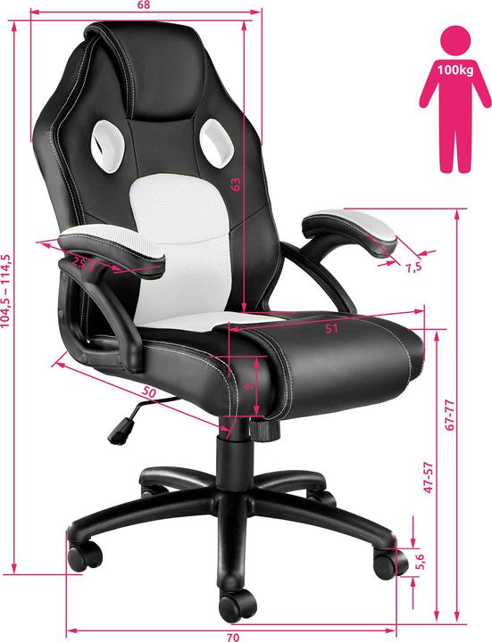 Actual product image tectake Gaming chair - Racing Mike
