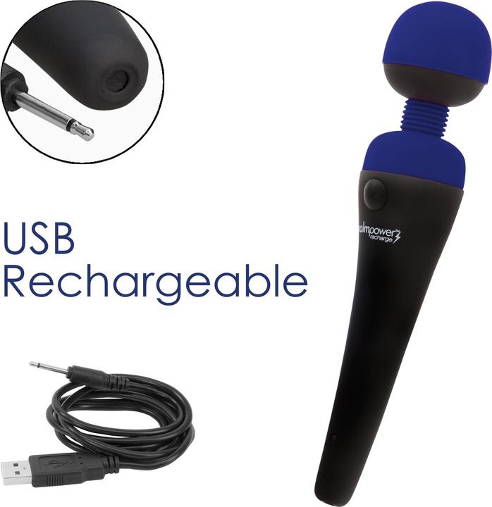 Produktbild Palmpower recharge