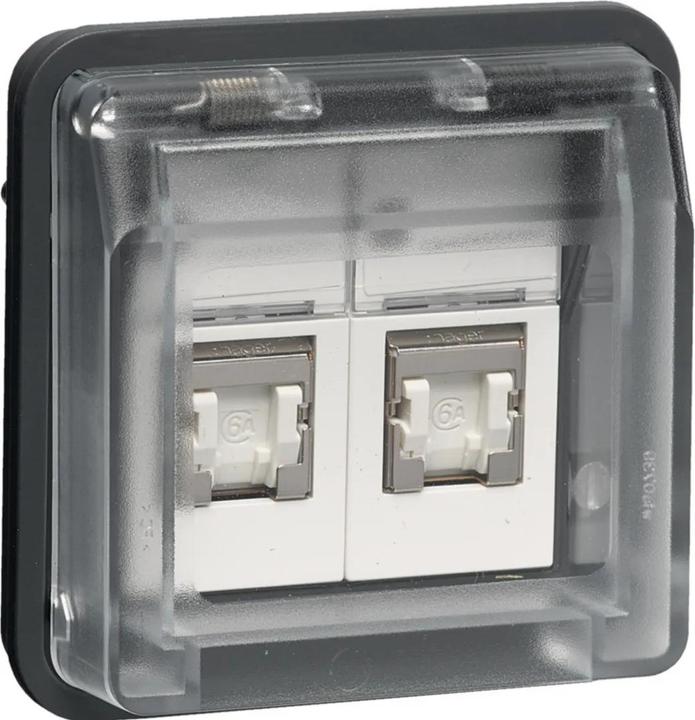 Actual product image Berker UAE Sockets 8/8-pole 14103505 shielded W.1 lgr matt