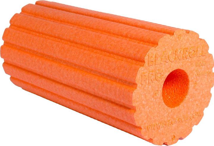 Actual product image Blackroll Groove Pro
