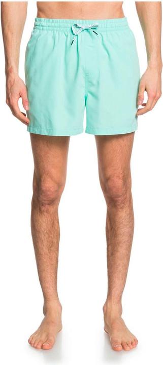 Actual product image Quiksilver Everyday Volleys (M)