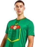 Immagine prodotto Puma Maglia FSF Away Replica (S)