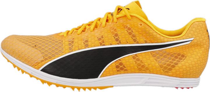 Puma evoSPEED Distance 11