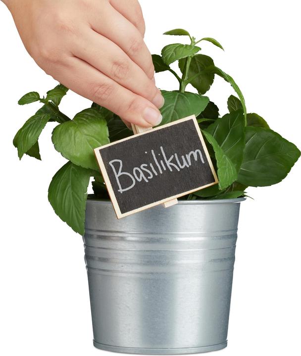 Actual product image Relaxdays Plant Label Clips, Pack of 48 (1.50 cm, 7.50 cm)