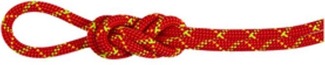 Immagine prodotto Mammut 8.0 Alpine Core Protect Corda asciutta (30 m)