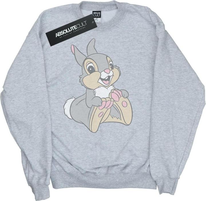 Produktbild Disney Sweatshirt Mädchen (116)