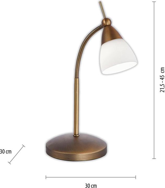 Actual product image Paul Neuhaus antique brass LED table lamp 3000K 3W (265 lm, G9)