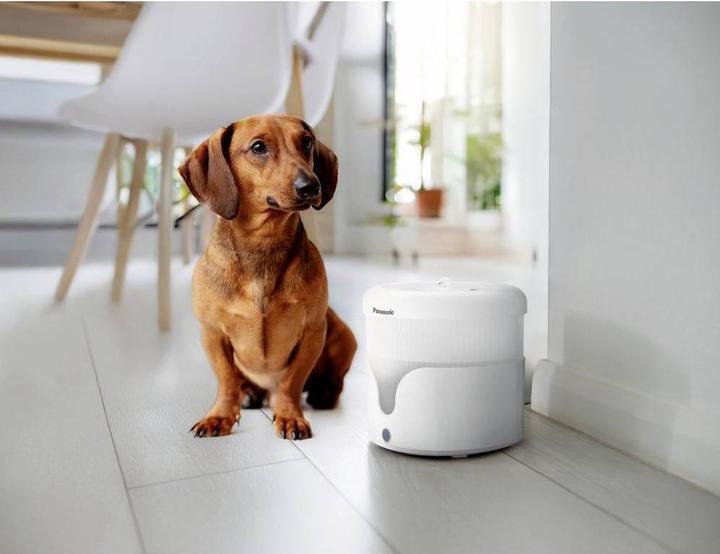 Image du produit Panasonic Fontaine à eau pour animaux de compagnie (1.90 l)